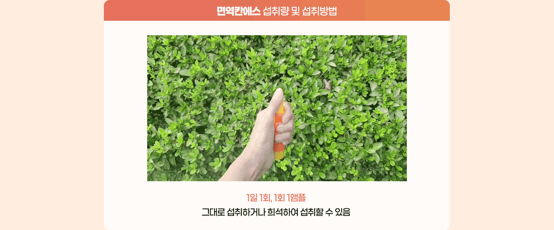 제품소개 세피지앰플 개봉법